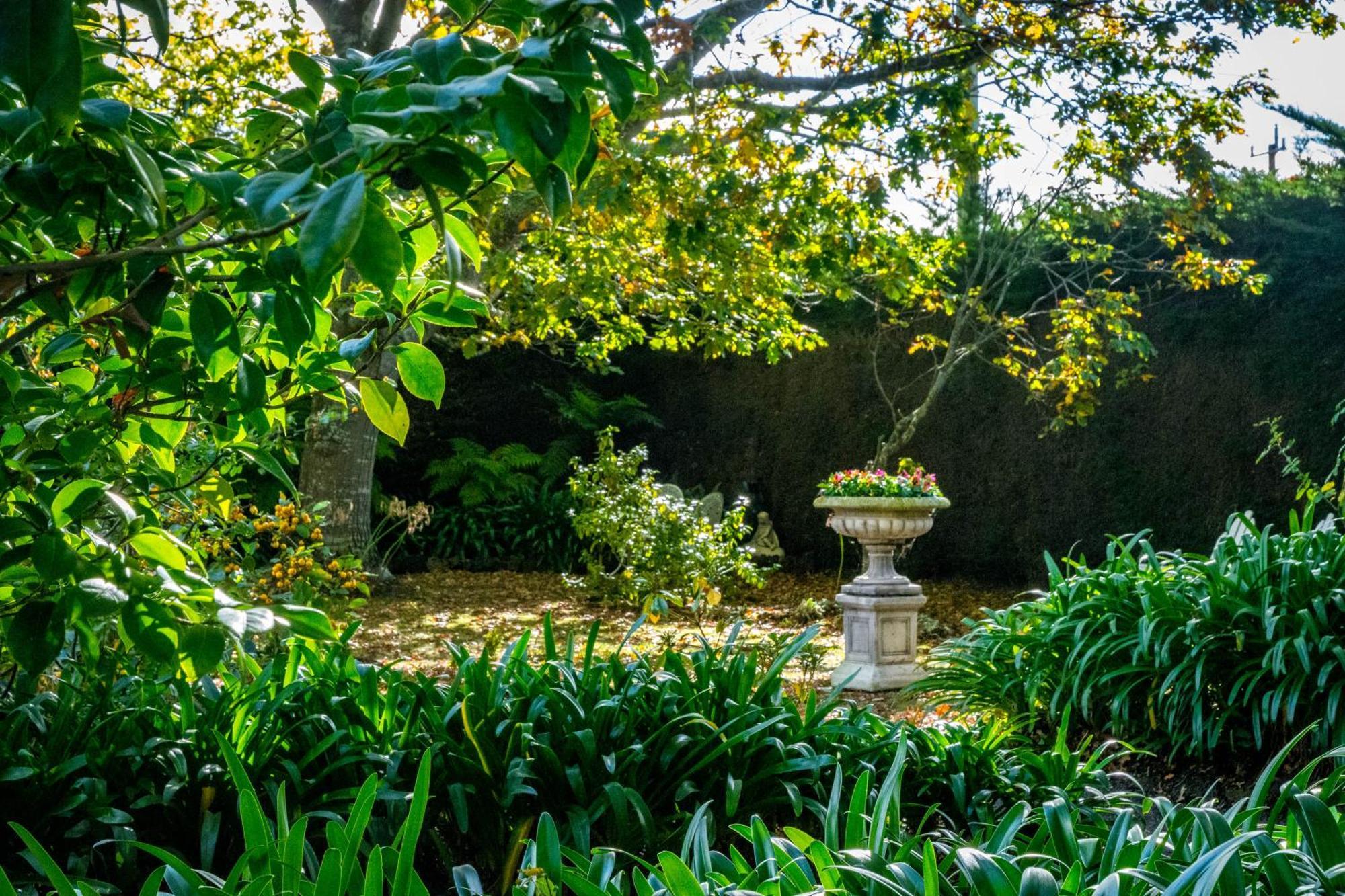 Bed and Breakfast Heytesbury House Cobden Esterno foto
